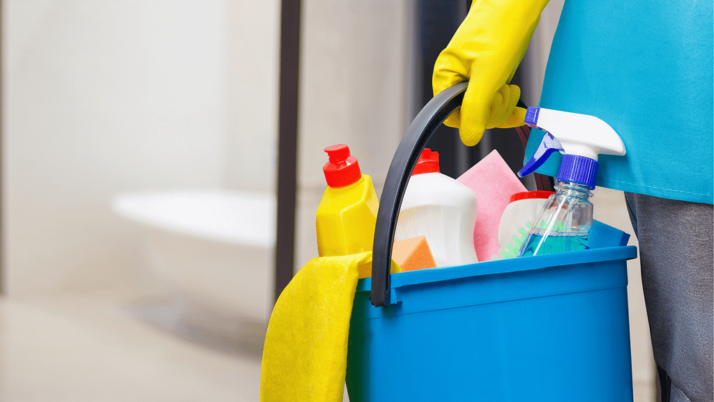 Household Cleaner Blog